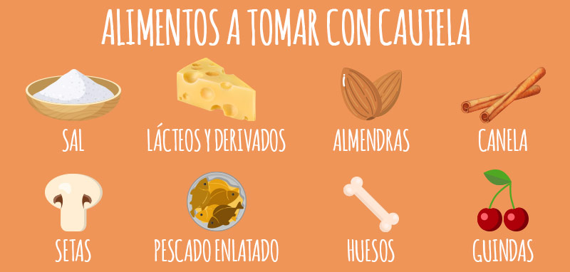 animigo-es-cat-foods-to-be-cautious-info