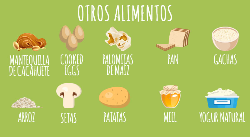 animigo-es-other-foods-info