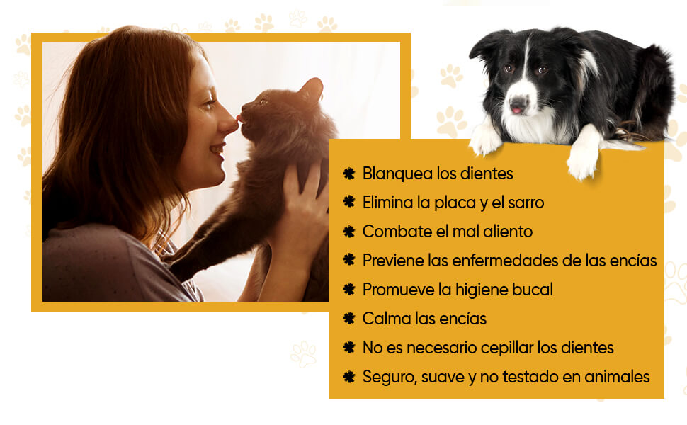 Cuidado bucal, cuidado personal, cuidado del hogar, nutrición para mascotas