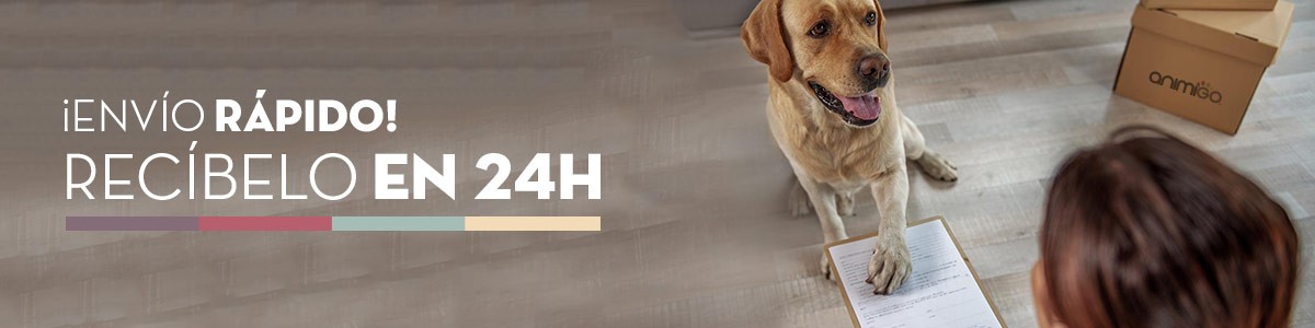 Recibelo-en-24h