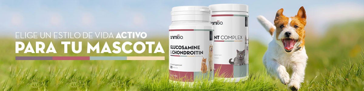 Para-Tu-Mascota