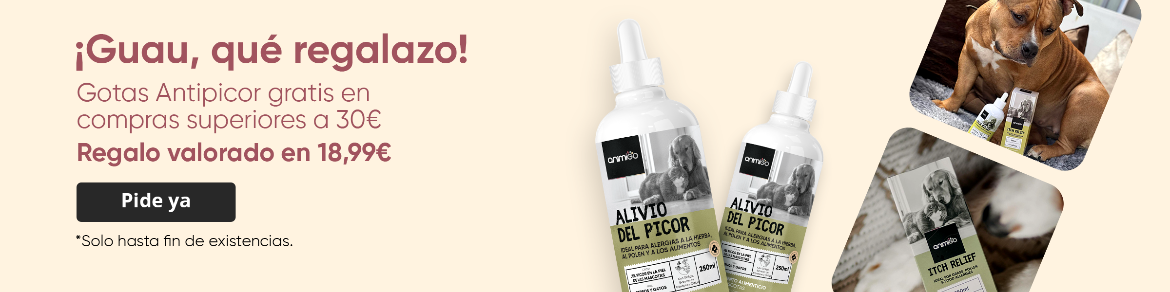 Un regalo exclusivo: Probióticos para perros