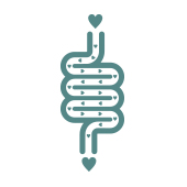Digestion Digestion