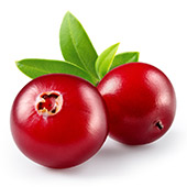 Cranberry