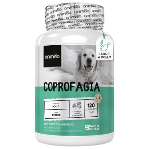 Coprofagia para perros