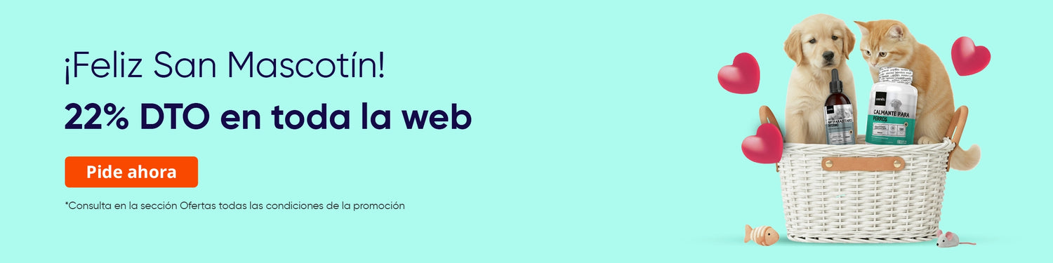 22 % DTO por San Valentín