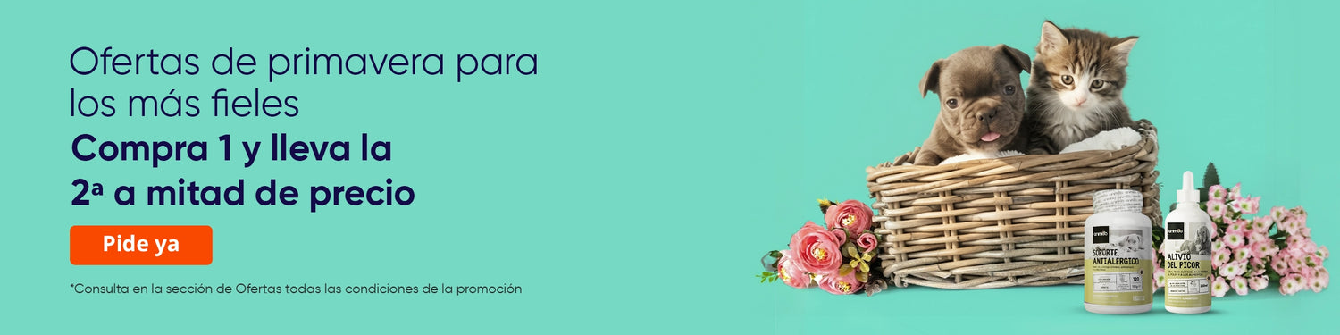 Ofertas de primavera en Animigo