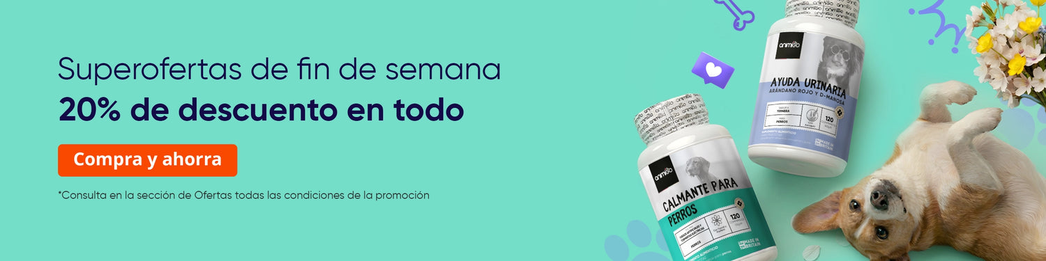 20 % de descuento en todo