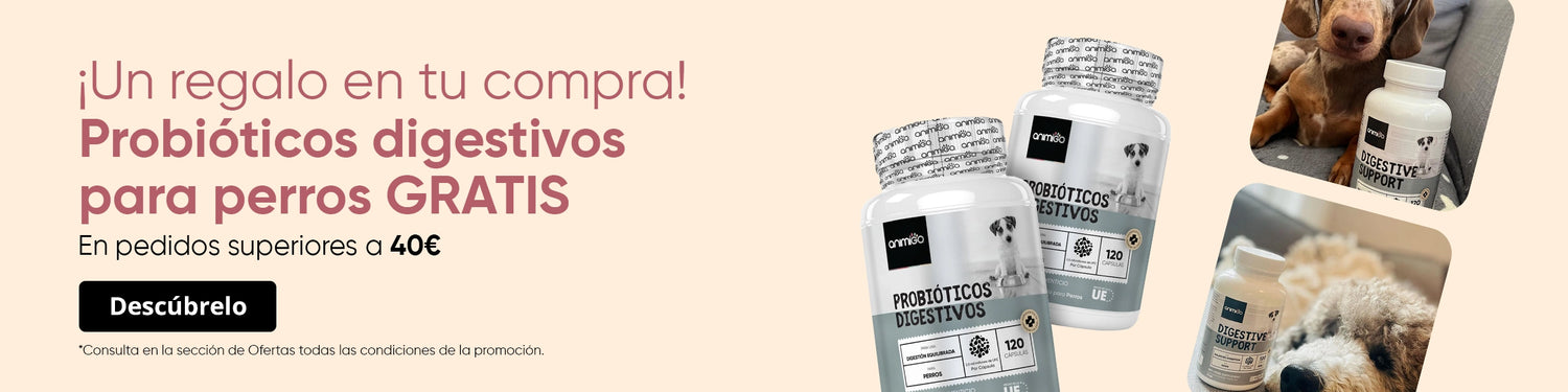 Obtén un suplemento gratis en pedidos superiores a 40 €