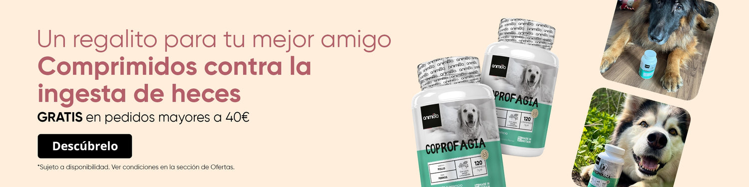 Regalo por compras de +40€