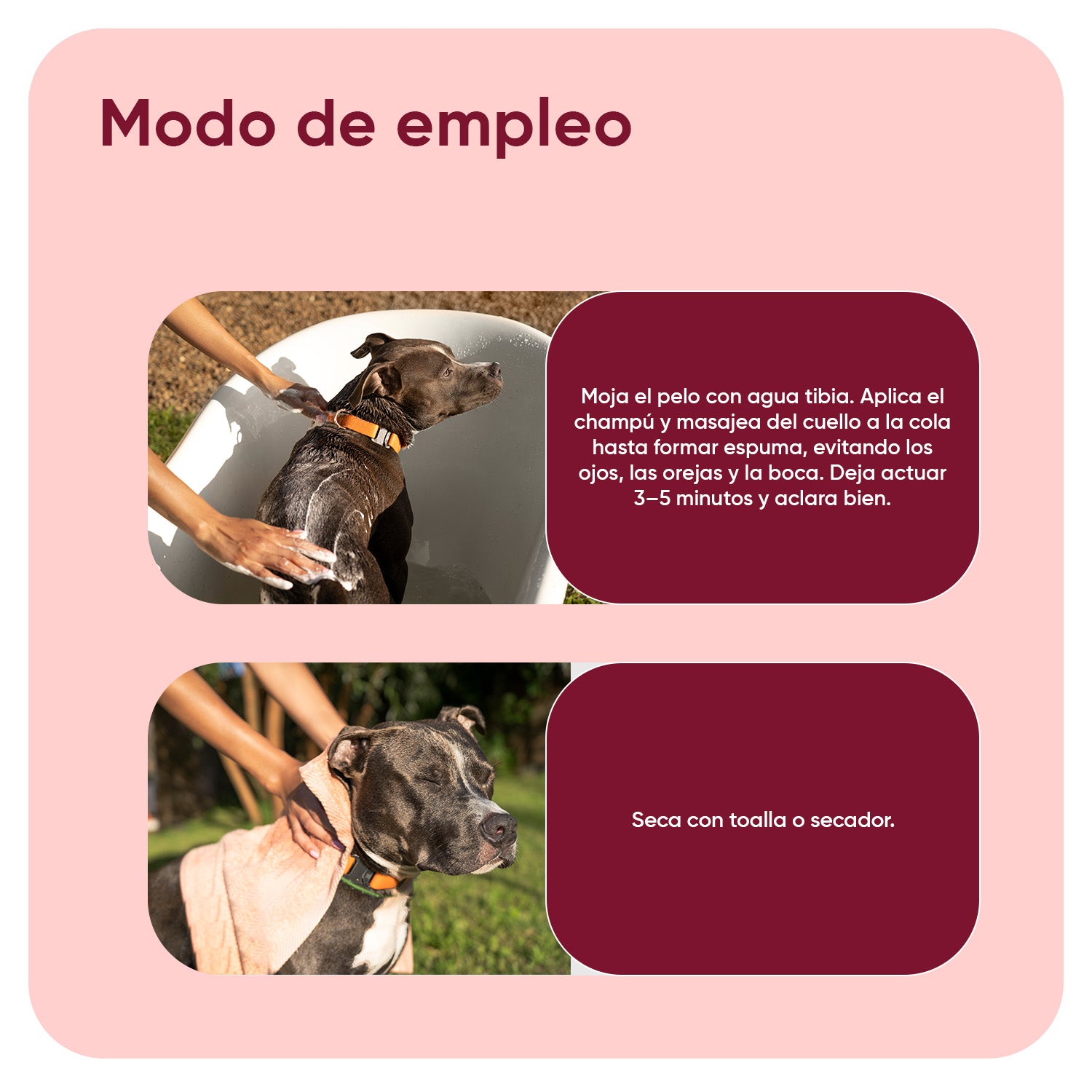 Champú antipulgas y antigarrapatas 500 ml