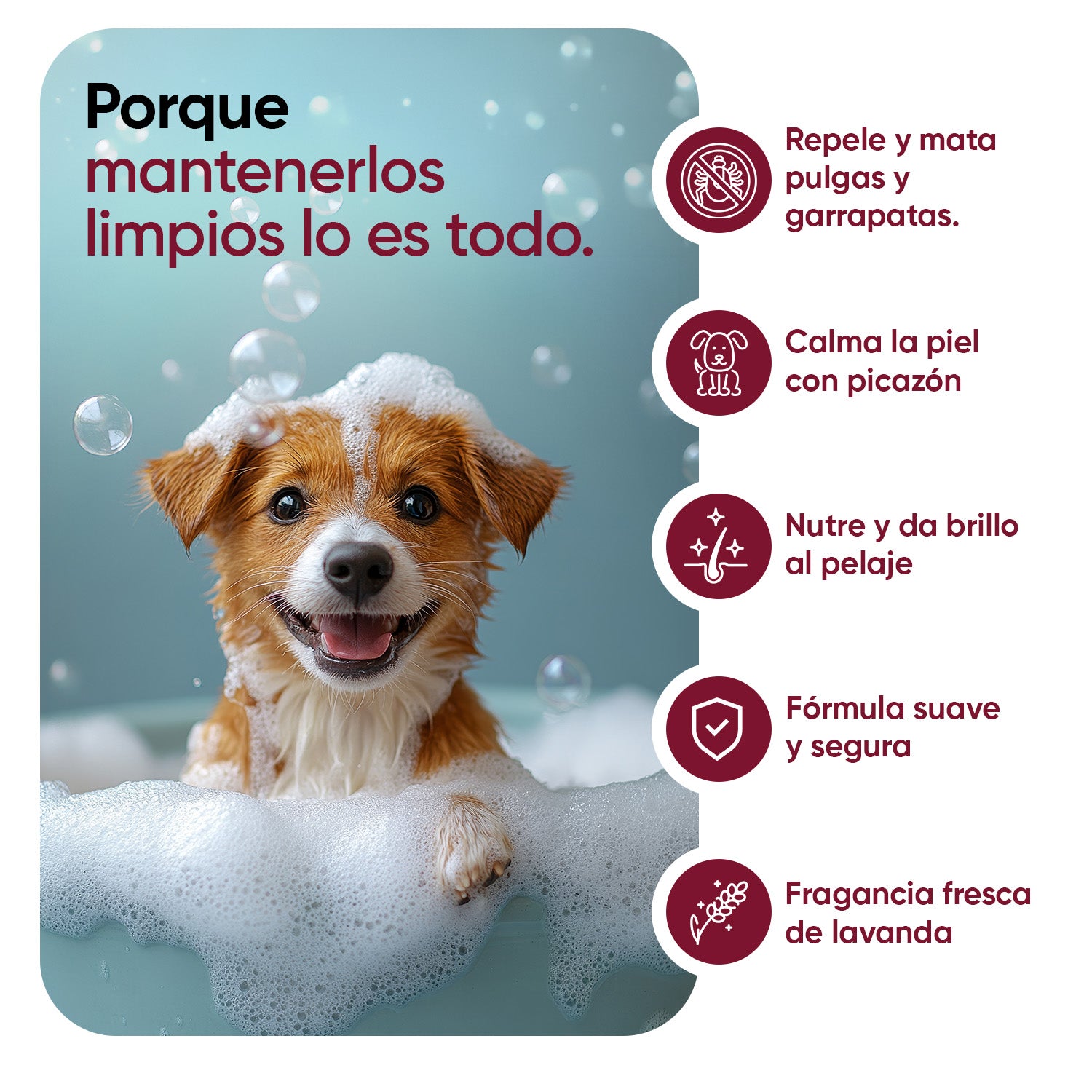 Champú antipulgas y antigarrapatas 500 ml