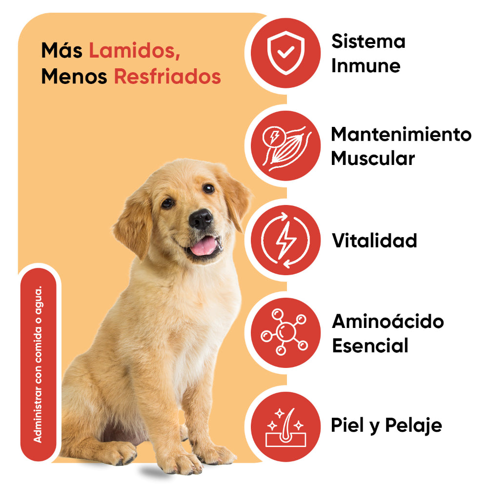 L-lisina el polvo para perros 250 g