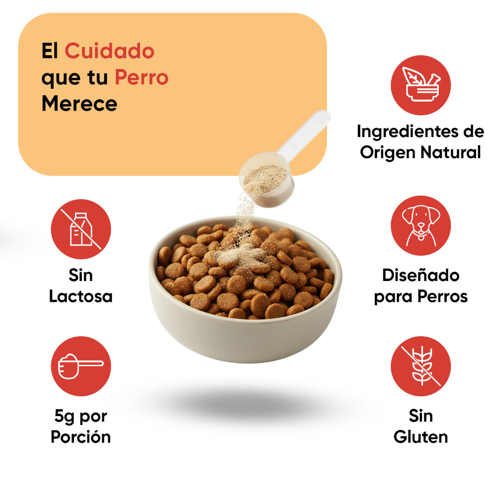 L-lisina el polvo para perros 250 g
