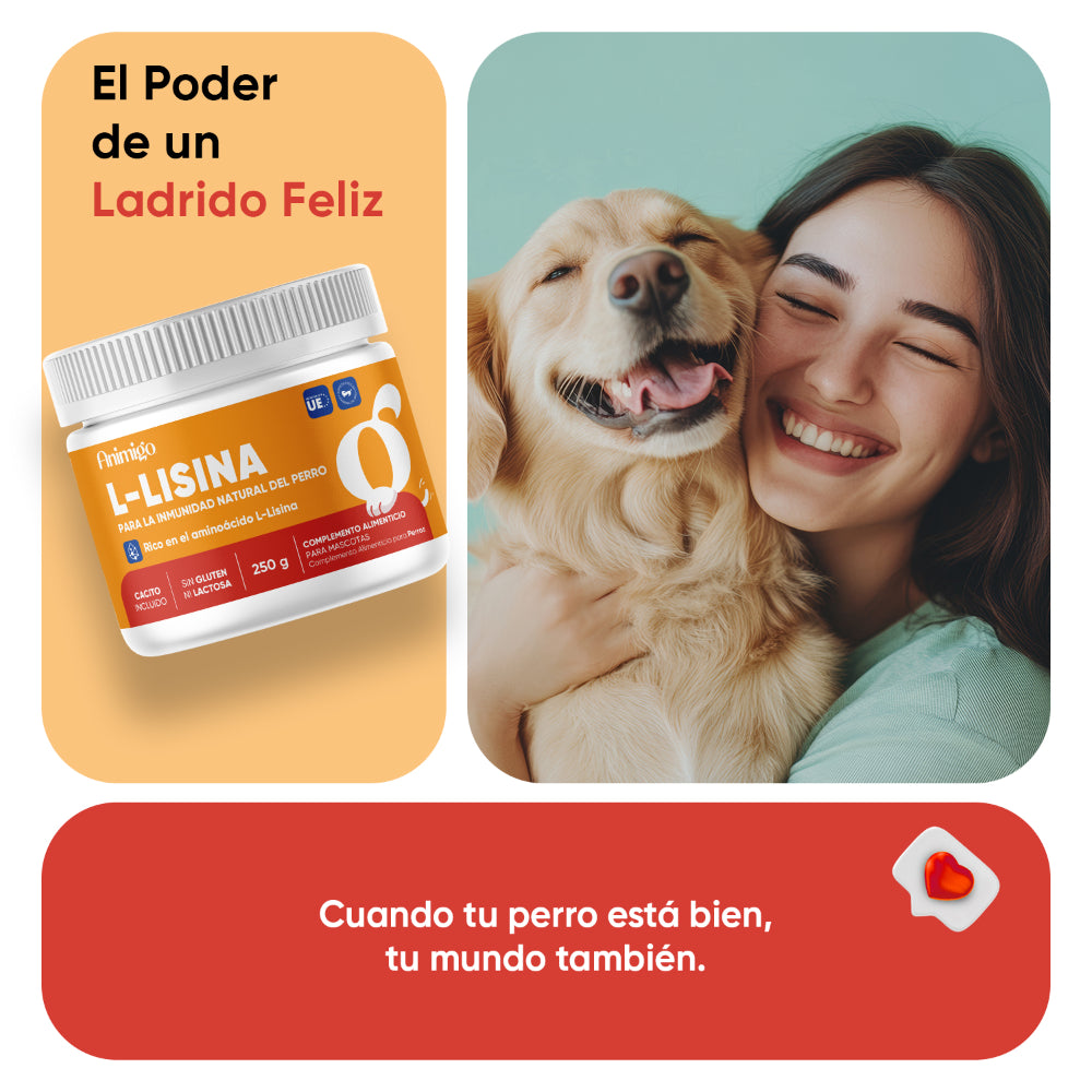 L-lisina el polvo para perros 250 g