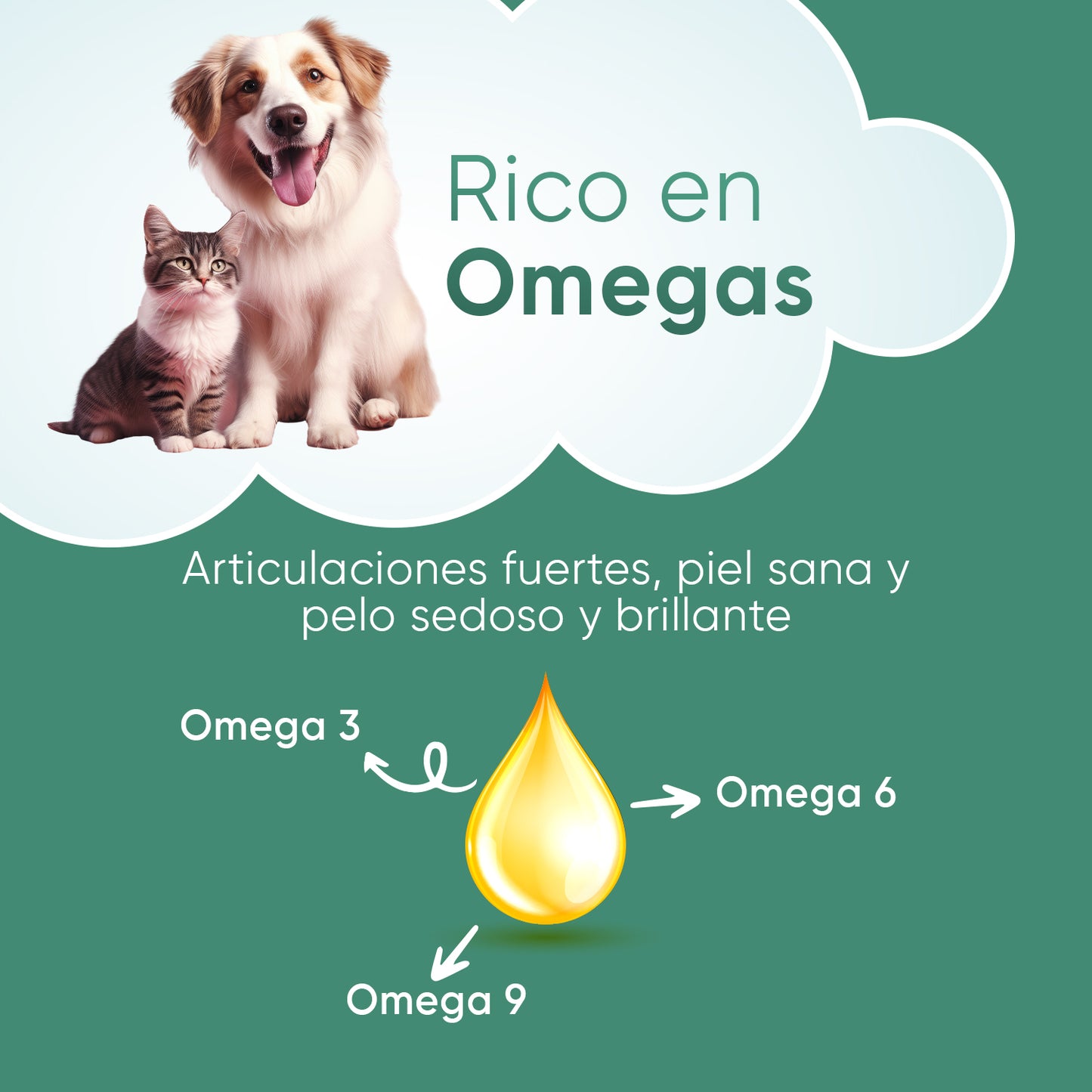Aceite de Cáñamo para Perros y Gatos