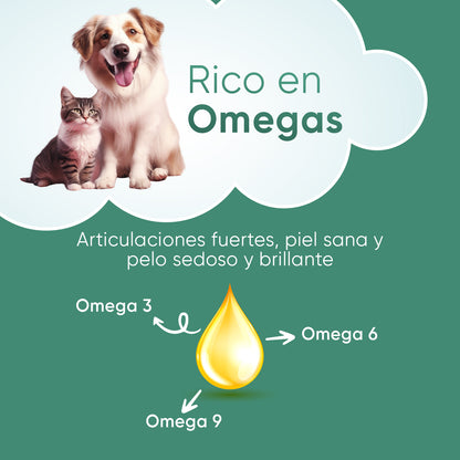 Aceite de Cáñamo para Perros y Gatos