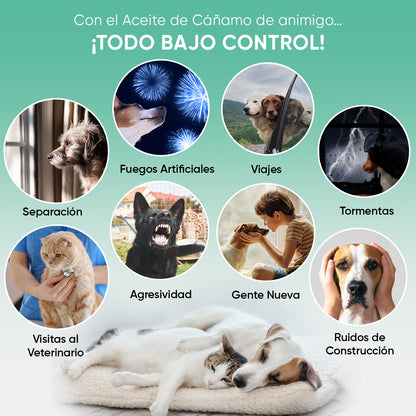 Aceite de Cáñamo para Perros y Gatos