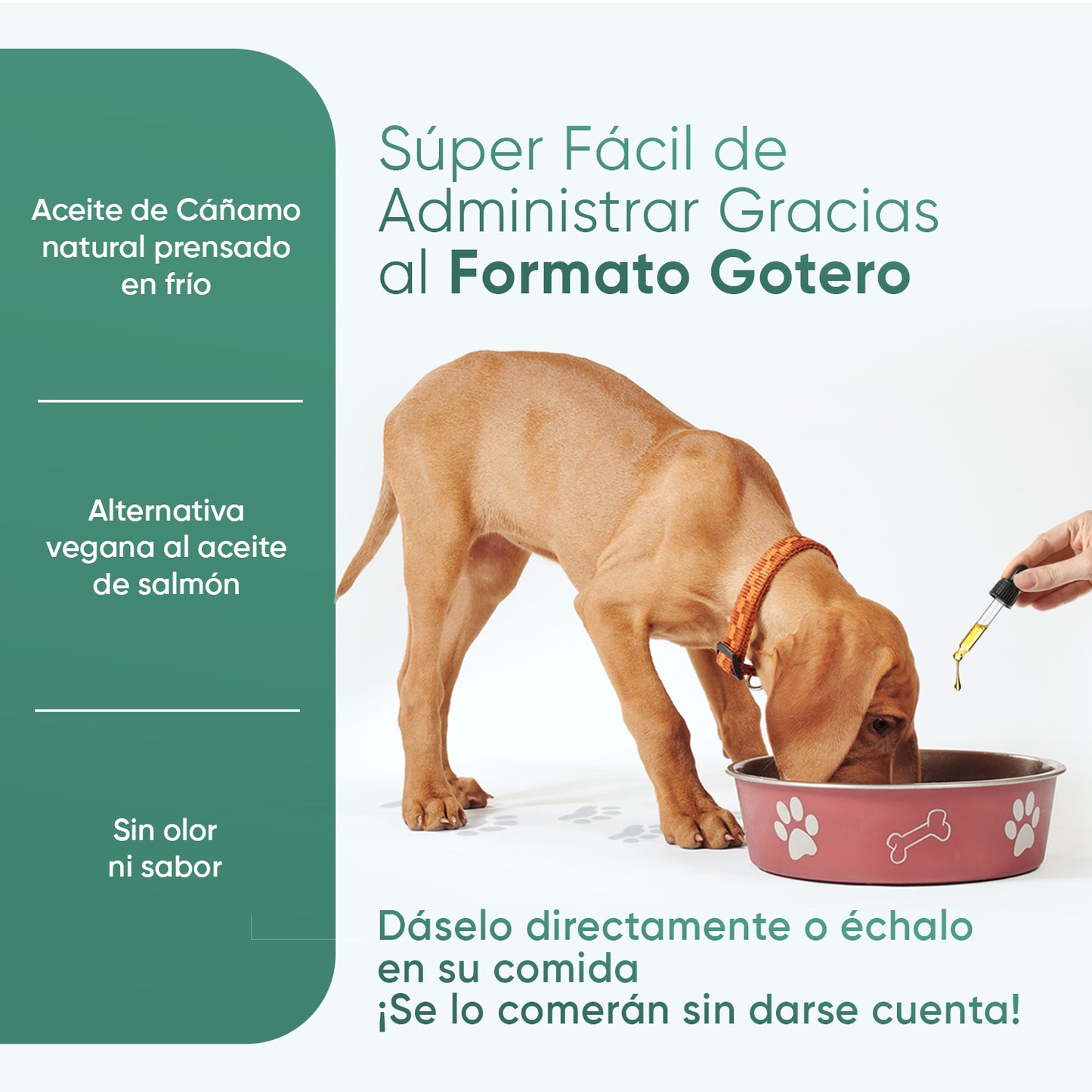 Aceite de Cáñamo para Perros y Gatos