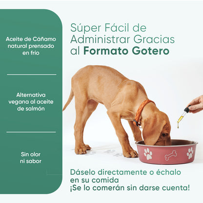 Aceite de Cáñamo para Perros y Gatos