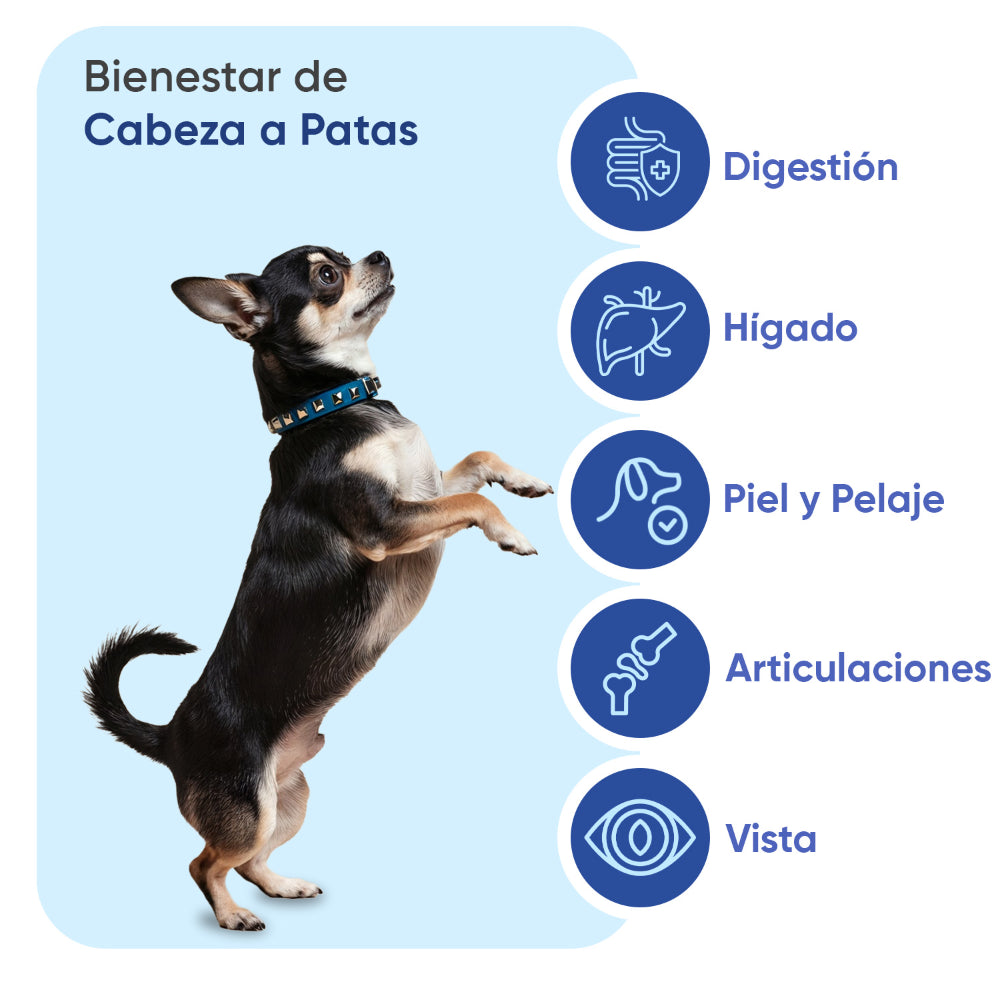 Multivitaminas y minerales para perros, 120 chuches blandas