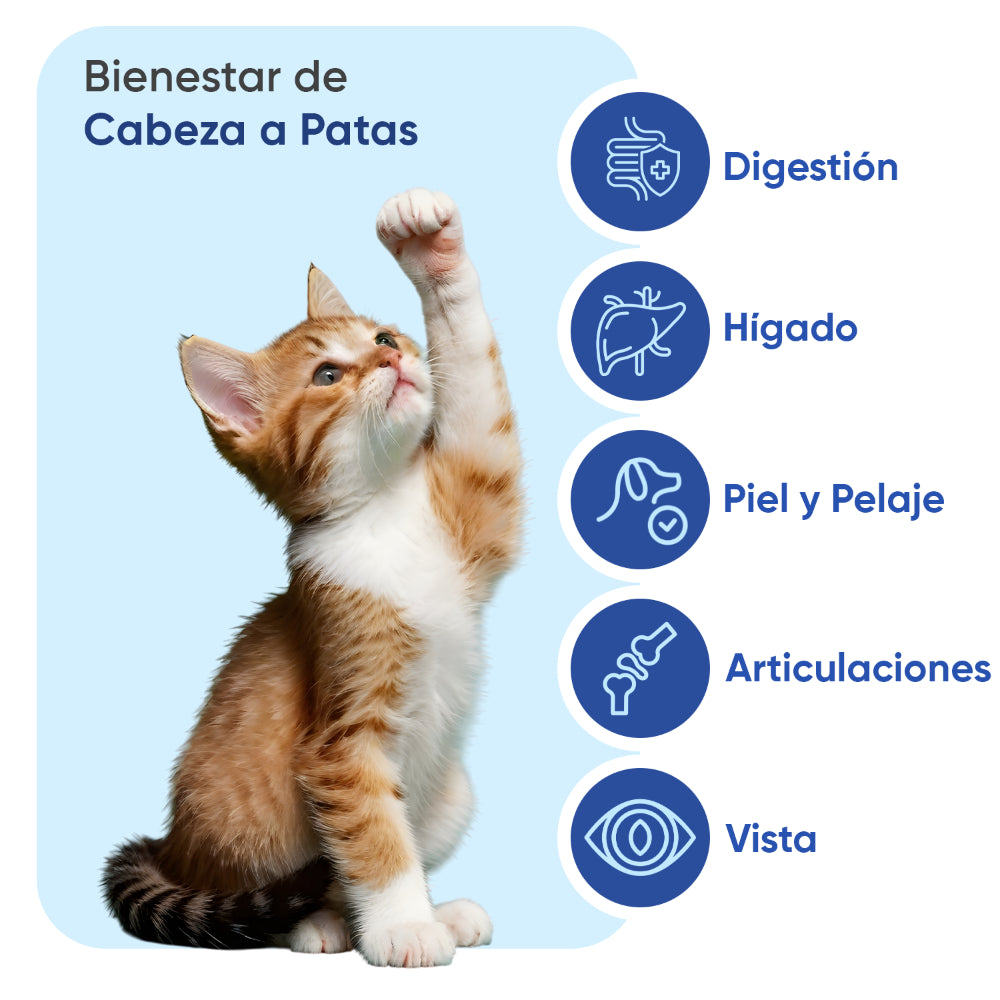 Multivitaminas y minerales para gatos, 120 chuches blandas