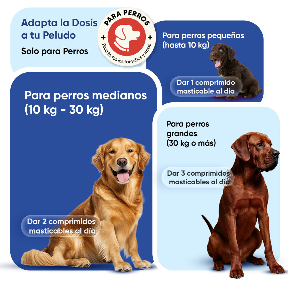 Multivitaminas y minerales para perros, 120 chuches blandas