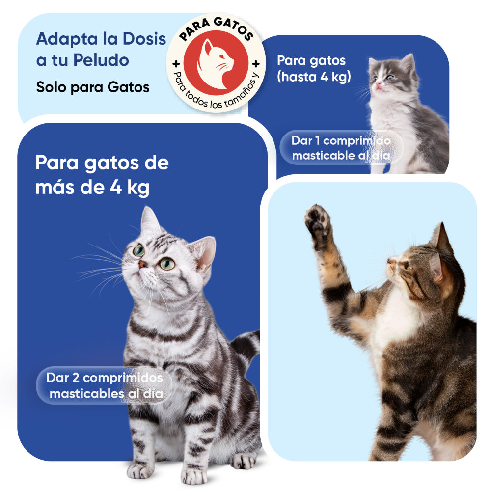 Multivitaminas y minerales para gatos, 120 chuches blandas