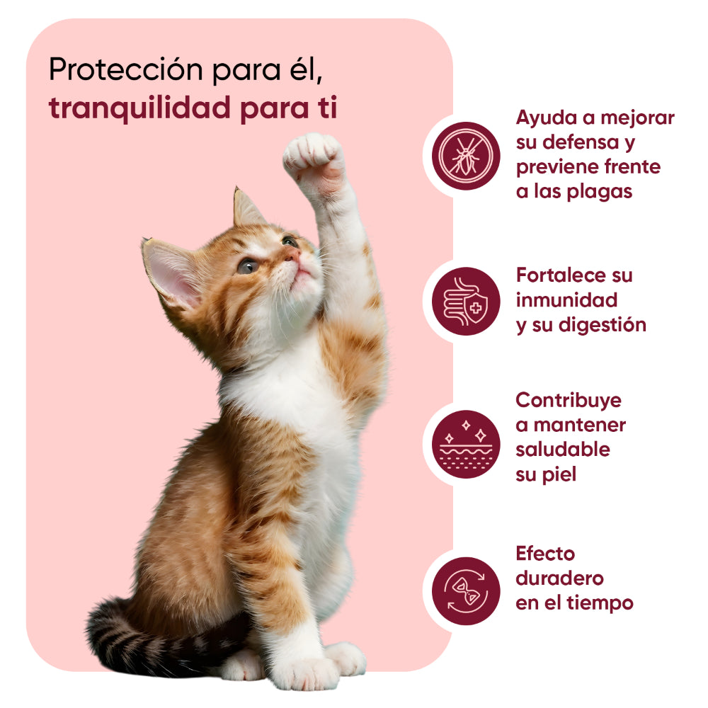 Antiparasitario en polvo para gatos 100gm