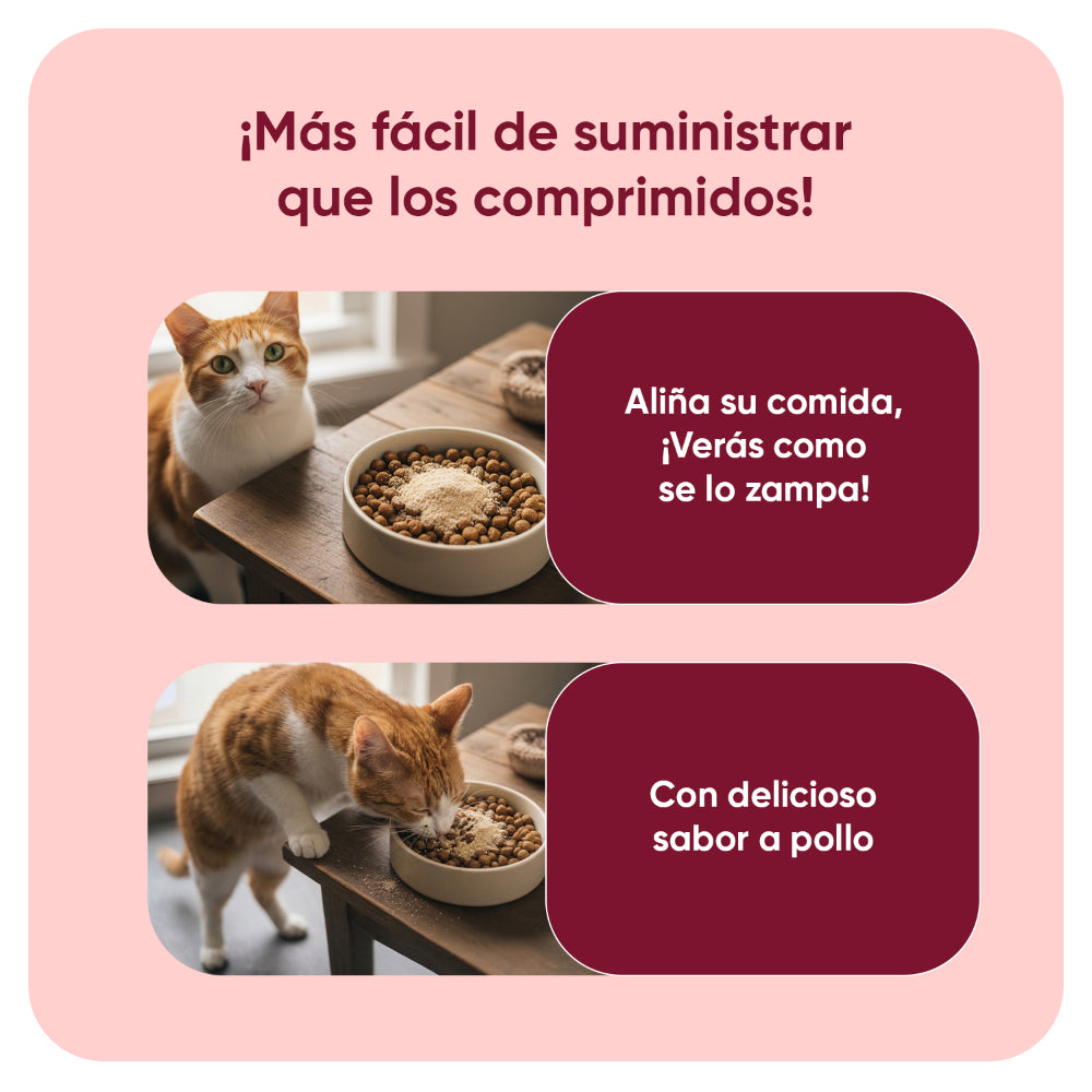 Antiparasitario en polvo para gatos 100gm