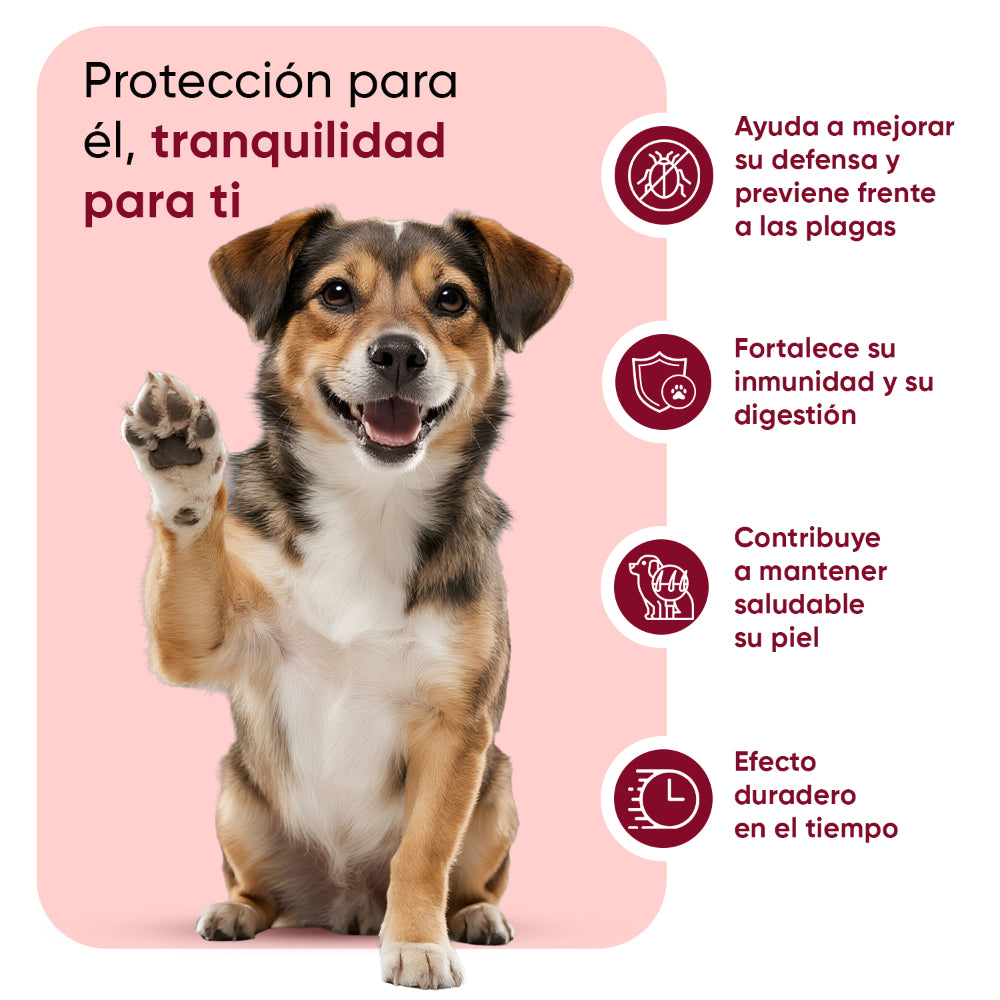 Antiparasitario en polvo para gatos para perros 100 g