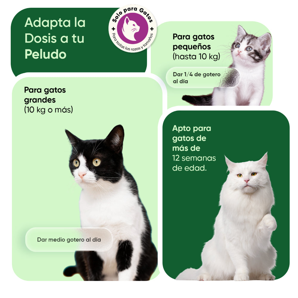 Aceite de cáñamo para gatos 60 ml