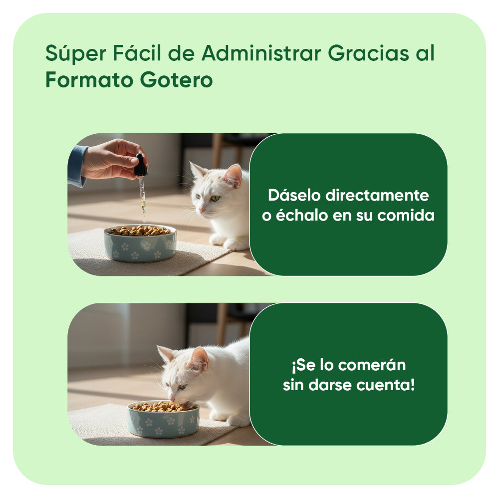 Aceite de cáñamo para gatos 60 ml