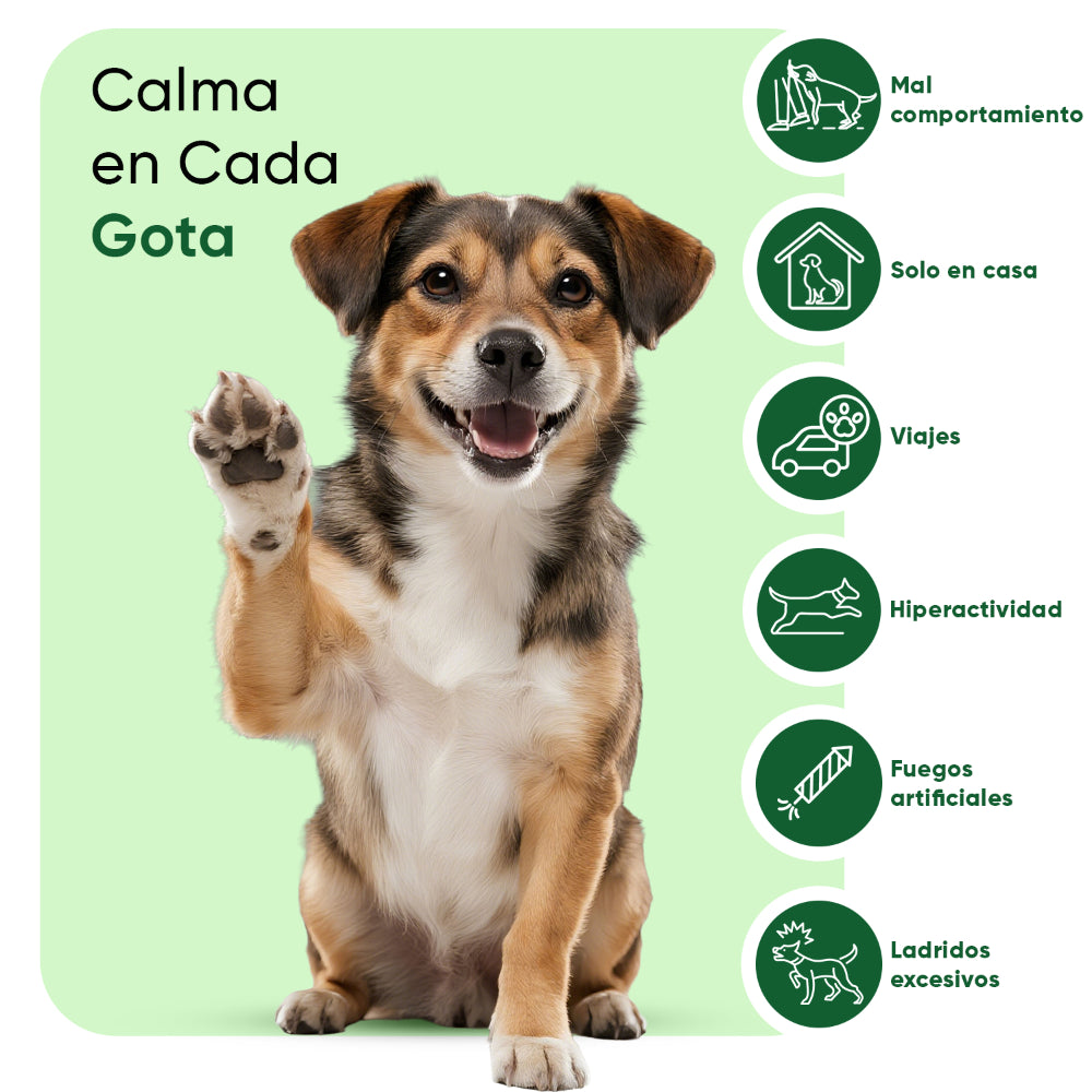 Gotas calmantes para perros 100 ml