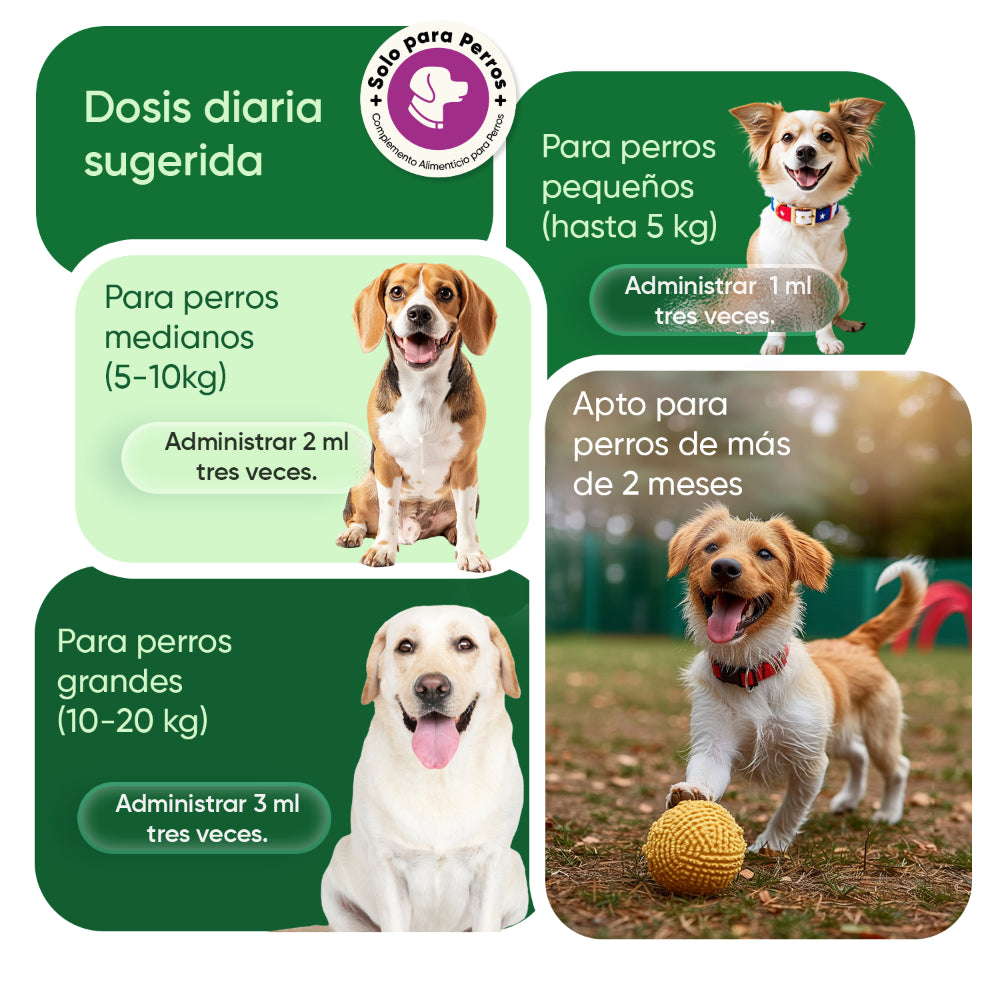 Gotas calmantes para perros 100 ml