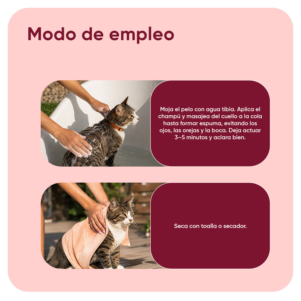 Champú antipulgas y antiarrapatas para gatos 500 ml