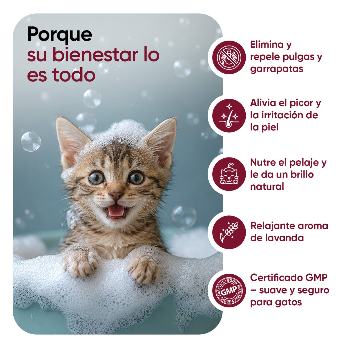 Champú antipulgas y antiarrapatas para gatos 500 ml