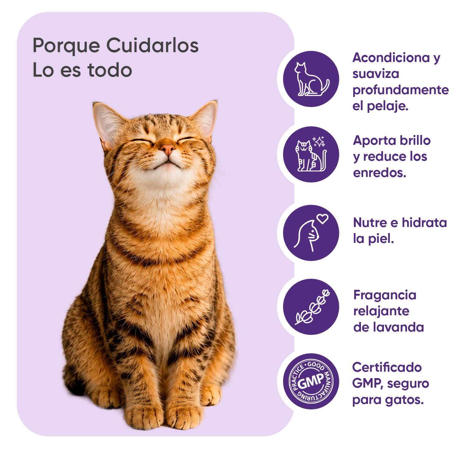 Acondicionador para gatos 500 ml