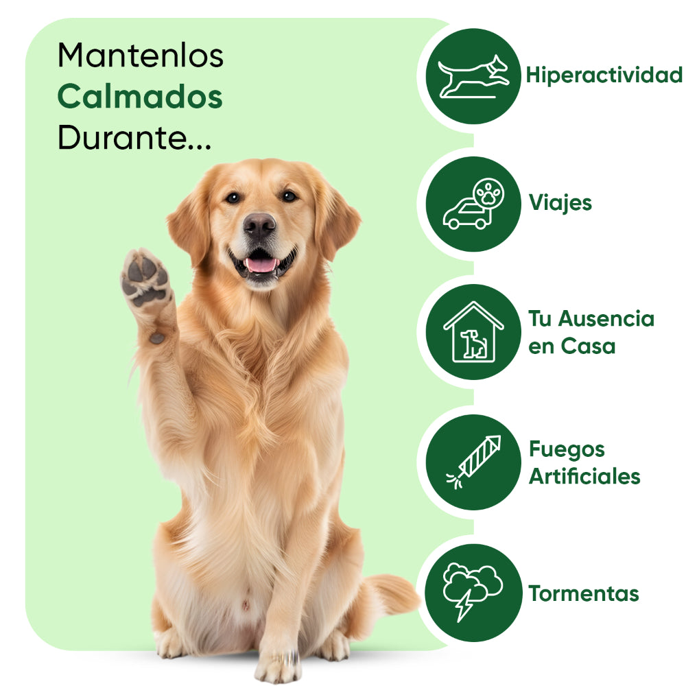 Suplemento calmante para perros: 120 masticables blandos