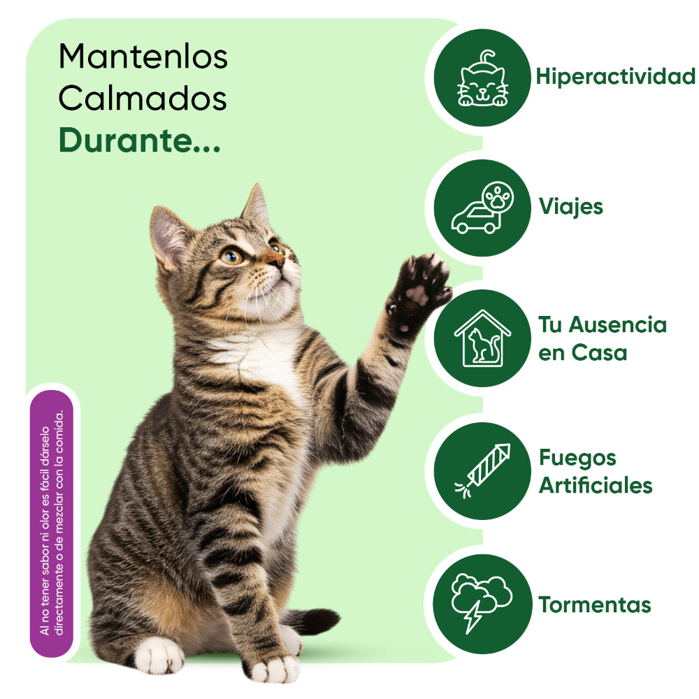 Calmantes masticables para gatos 120