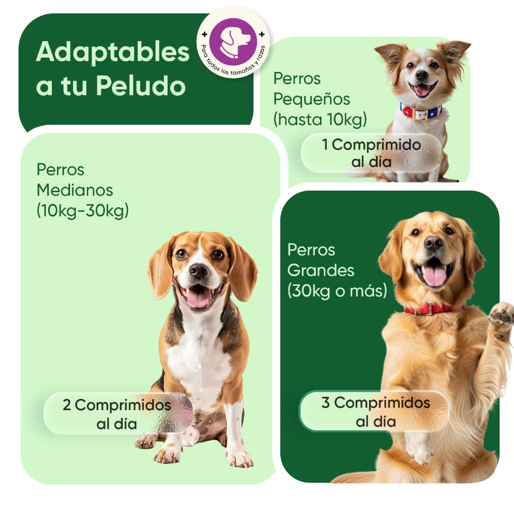 Suplemento calmante para perros: 120 masticables blandos