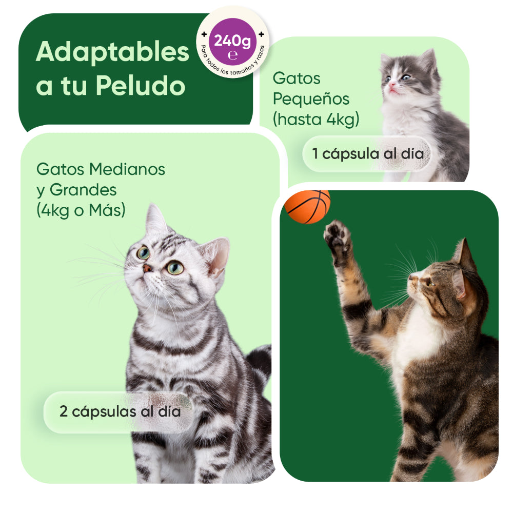 Calmantes masticables para gatos 120