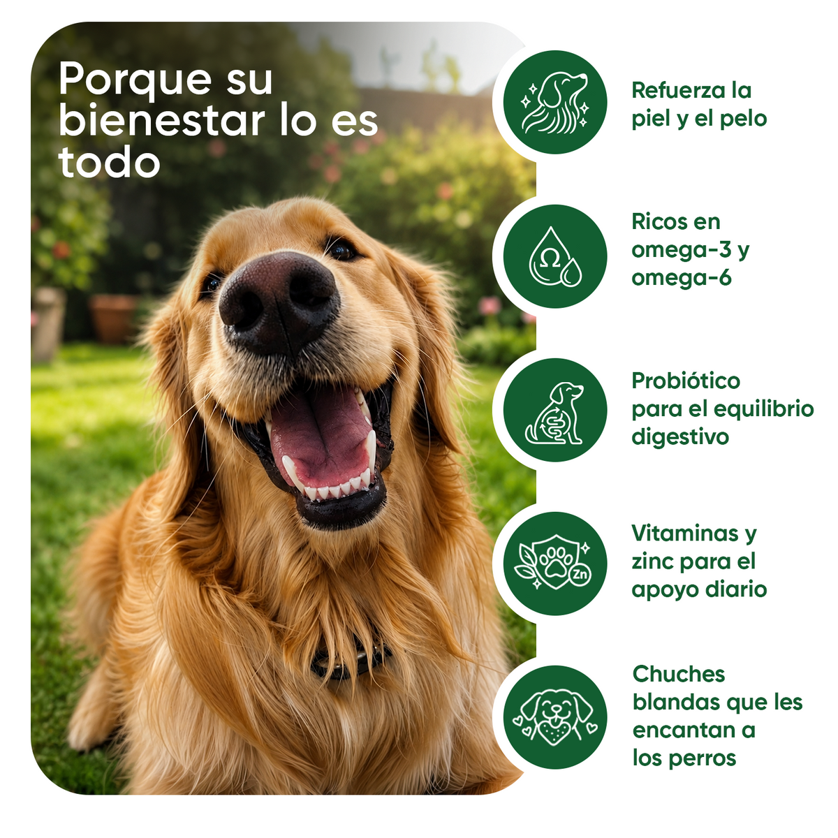 Alivio del picor e inmunidad para perros, 120 bocaditos blandos