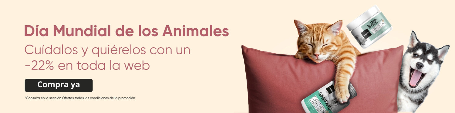 22% en toda la web por el Día de los Animales