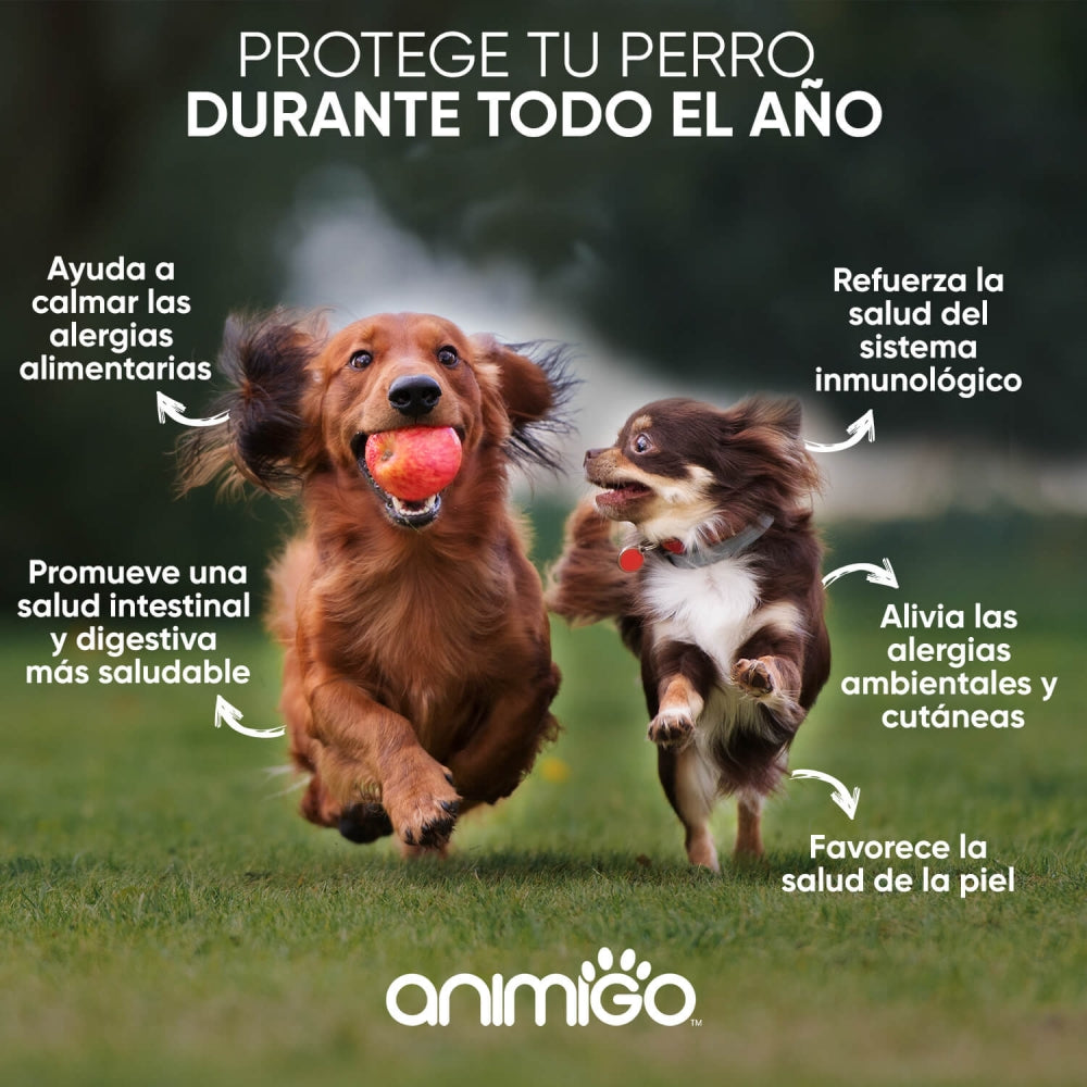 allergy-aid-es-2