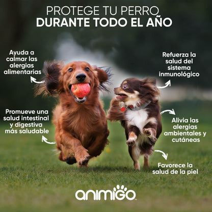 allergy-aid-es-2