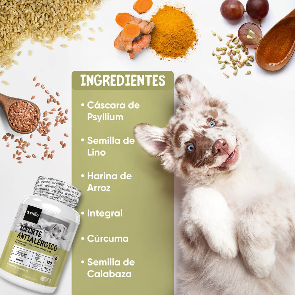 allergy-aid-es-3