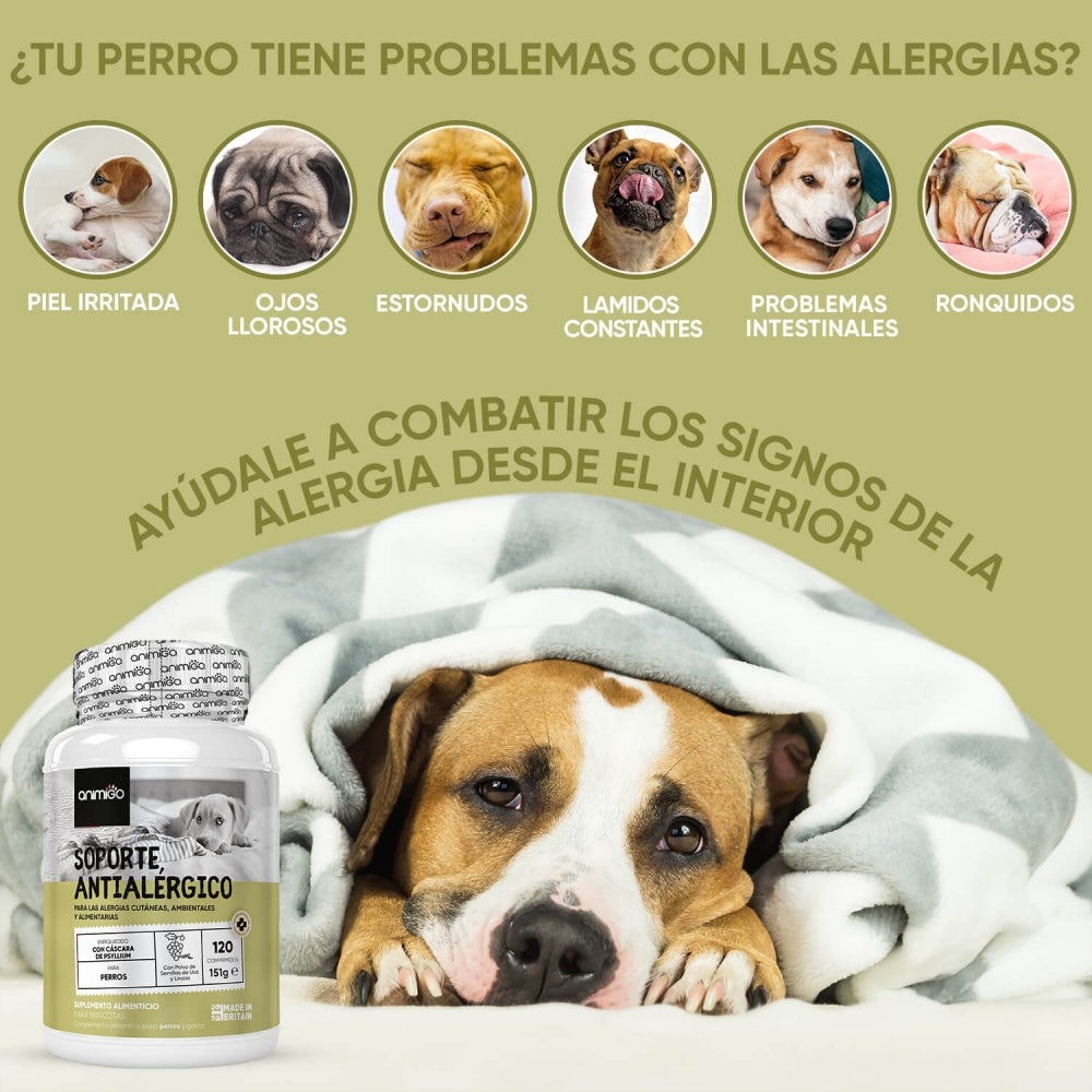 allergy-aid-es-4