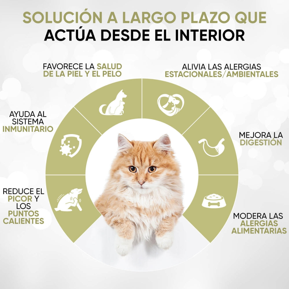 ani-itch-relief-liquid-es-2