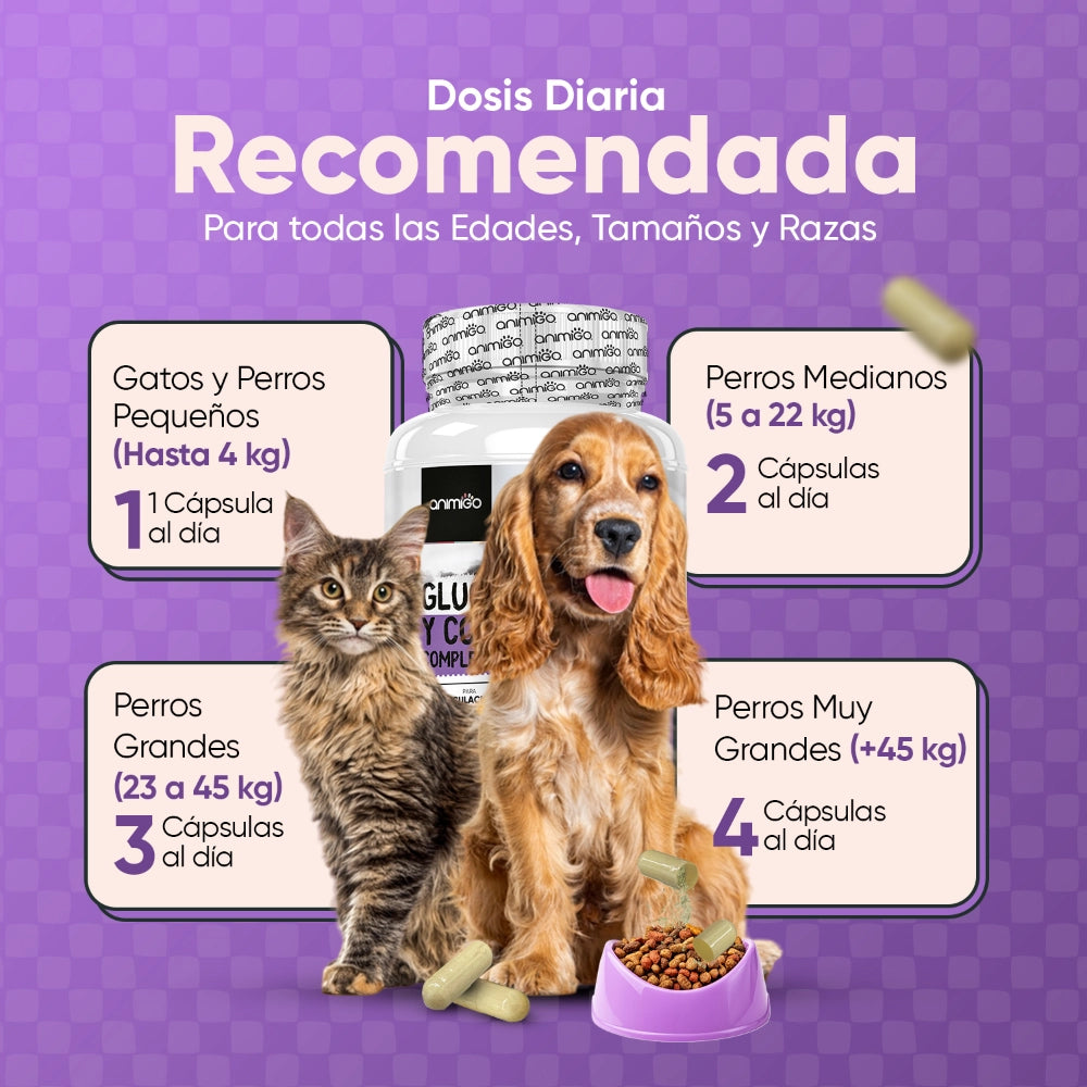 Ingredientes de las cápsulas de glucosamina y condroitina